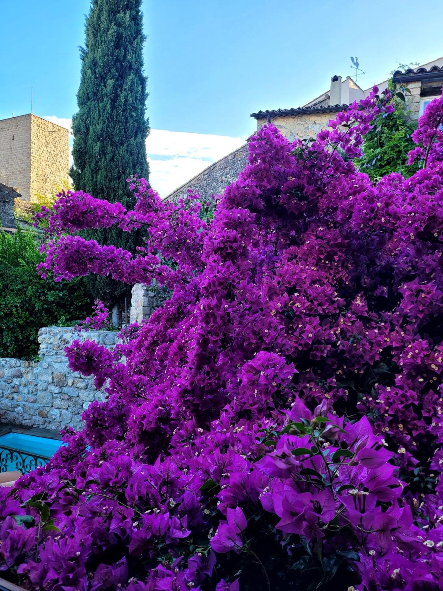 Villa Arca Les Arcs-sur-Argens Exterior photo